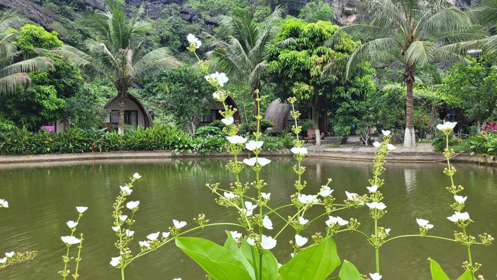 Fairy Mountain Retreat Hotel นิญบิ่ญ ภายนอก รูปภาพ